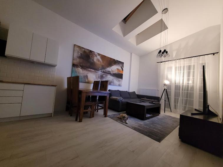 Apartament W Starym Mlynie Loft Rozanka Breslávia Exterior foto